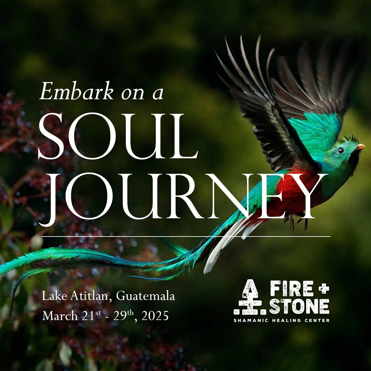 Embark on a Soul Journey