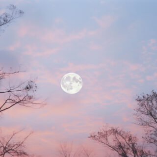 abstract-landscape-with-photorealistic-view-moon